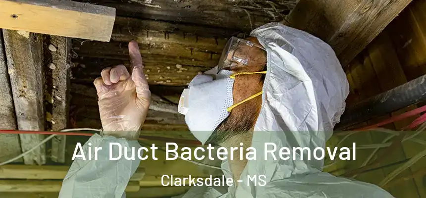  Air Duct Bacteria Removal Clarksdale - MS