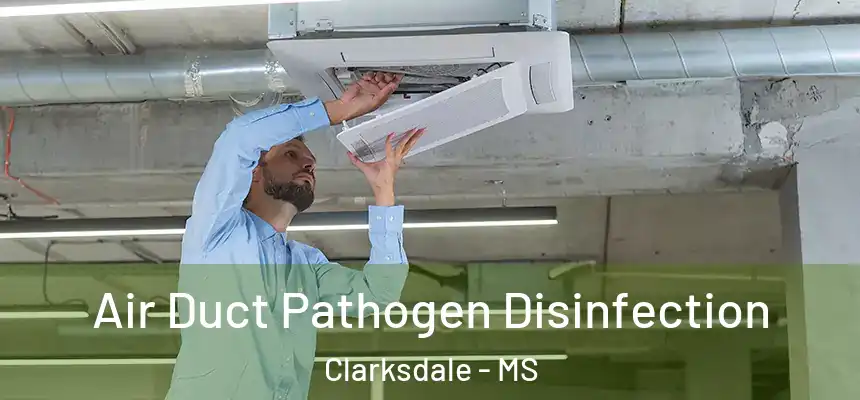 Air Duct Pathogen Disinfection Clarksdale - MS
