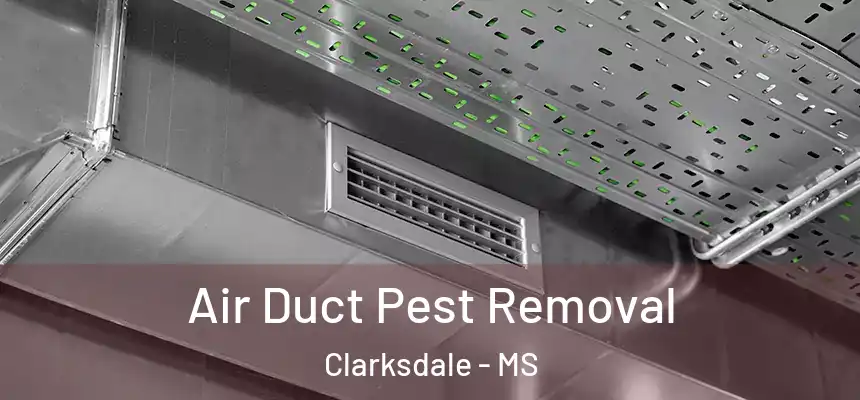  Air Duct Pest Removal Clarksdale - MS
