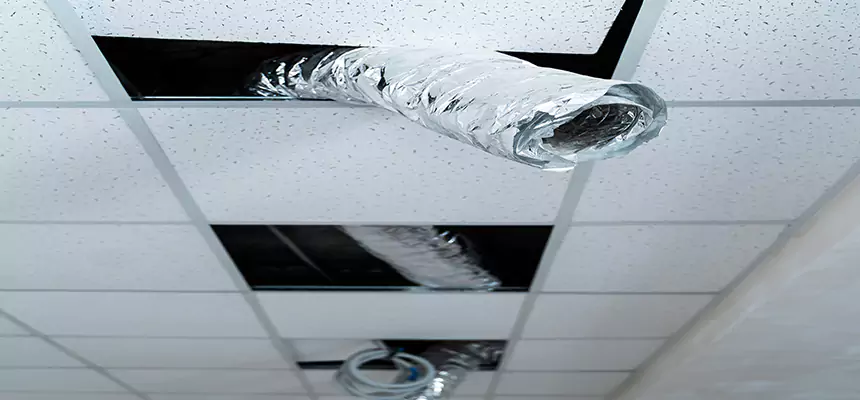 Affordable HVAC Sanitizing After Pest Removal in Clarksdale