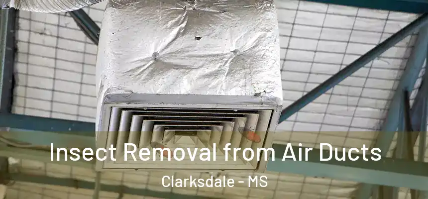 Insect Removal from Air Ducts Clarksdale - MS