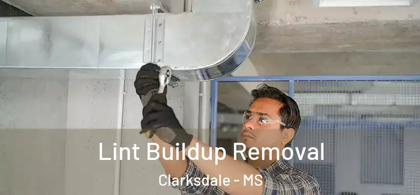  Lint Buildup Removal Clarksdale - MS
