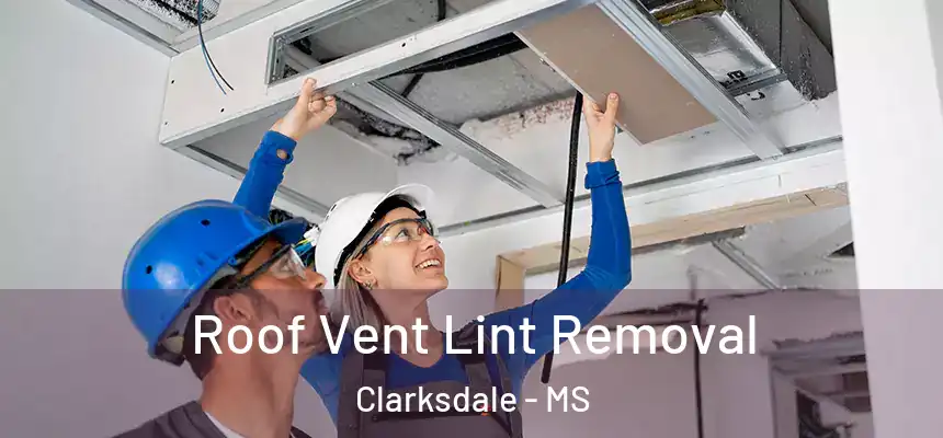 Roof Vent Lint Removal Clarksdale - MS