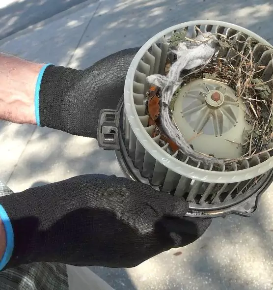 About Air Duct Rat Removal in Clarksdale, MS