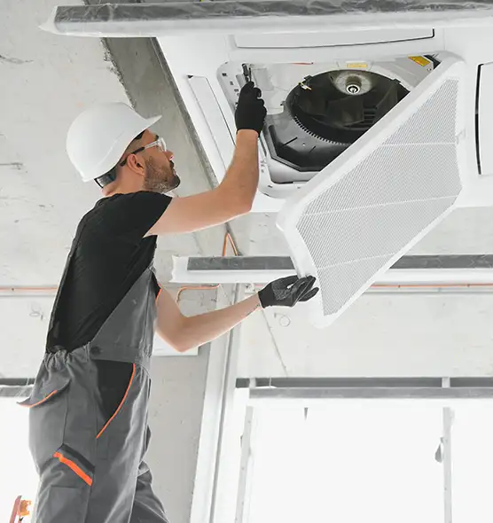 About Air Duct Rodent Removal in Clarksdale, MS