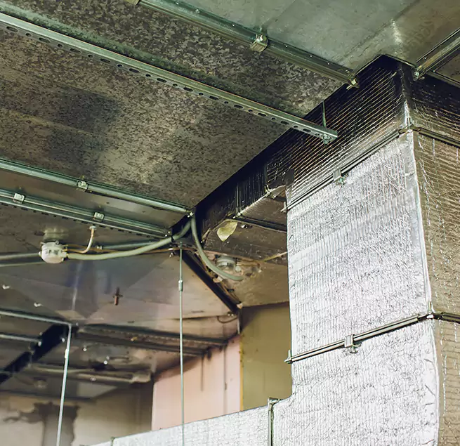 Why Homeowners & Businesses Trust Us in Clarksdale, MS?